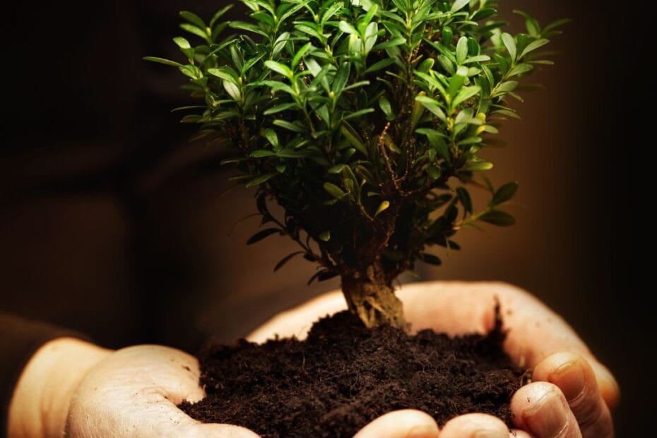 CRM és Automatizált Ügyfélkezelés: Hogyan javítja az ügyfélélményt és növeli az üzleti sikert?